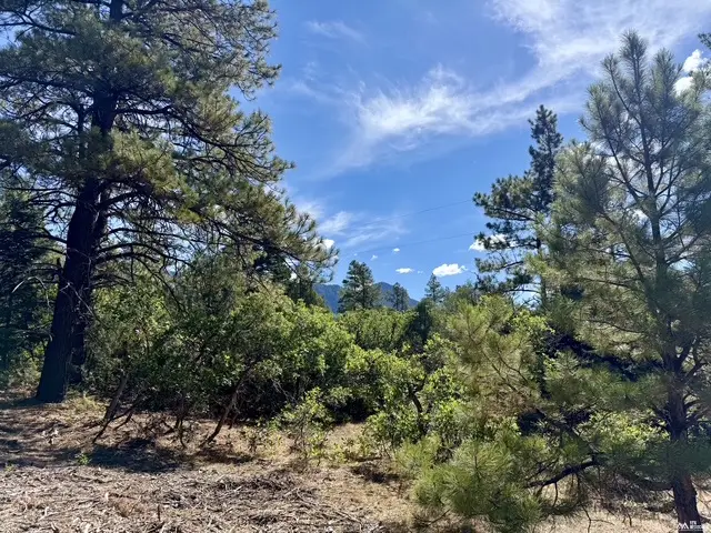 67 Private Dr 1755, Chama, NM 87520 - #2
