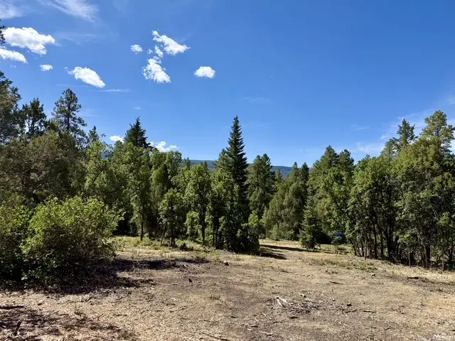 67 Private Dr 1755, Chama, NM 87520 - #3