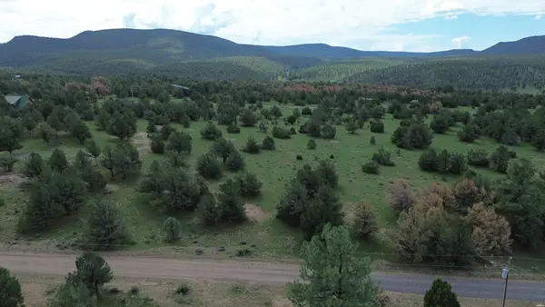 0, Quemado, NM 87829