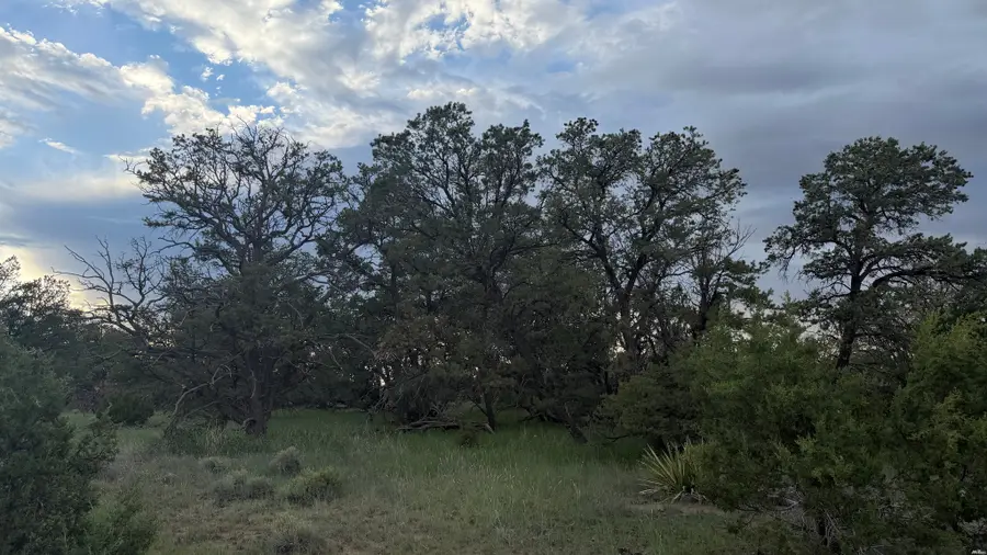 62 Dreamcatcher Drive, Fence Lake, NM 87315 - #2