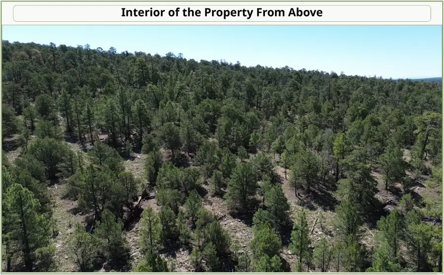 0 Tripwire Ln, Grants, NM 87020 - #3