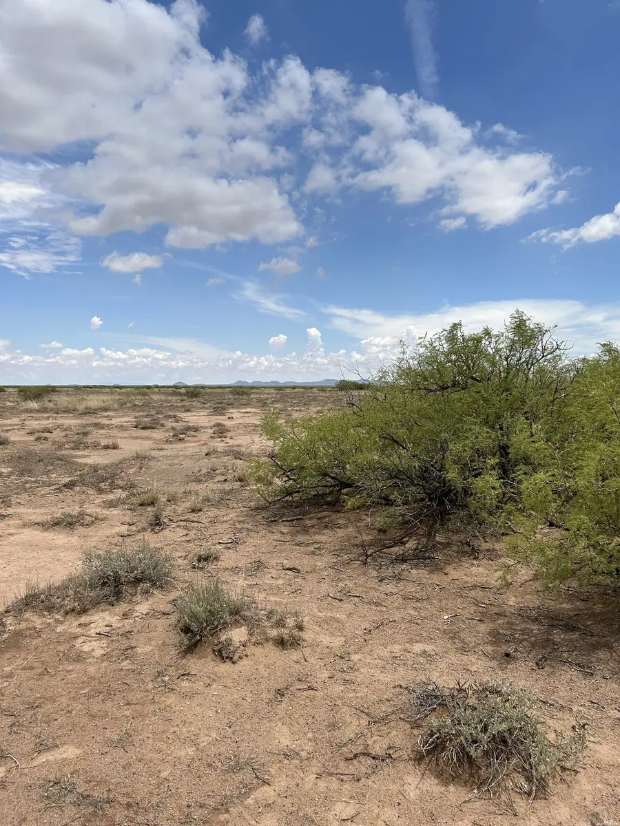 0 Cebada Road, Deming, NM 88030 - #3