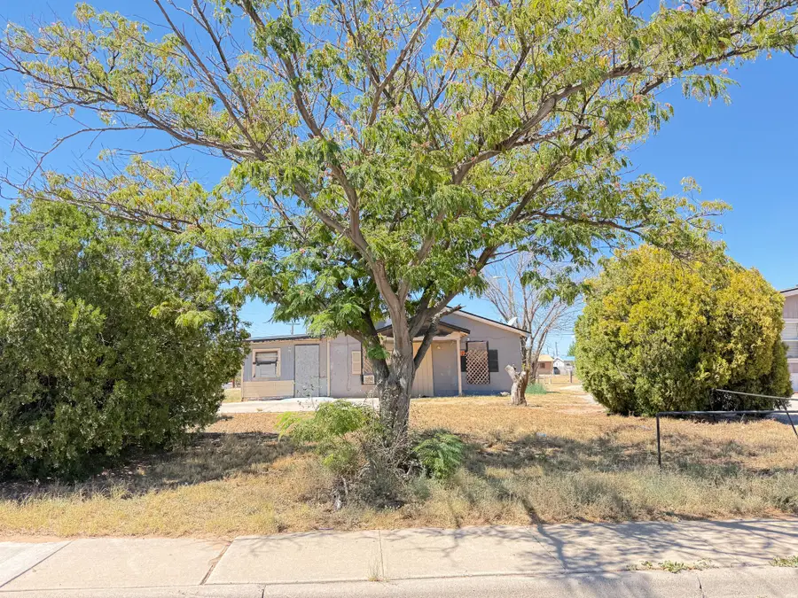 433 S Willow St., Hobbs, NM 88240 - #3
