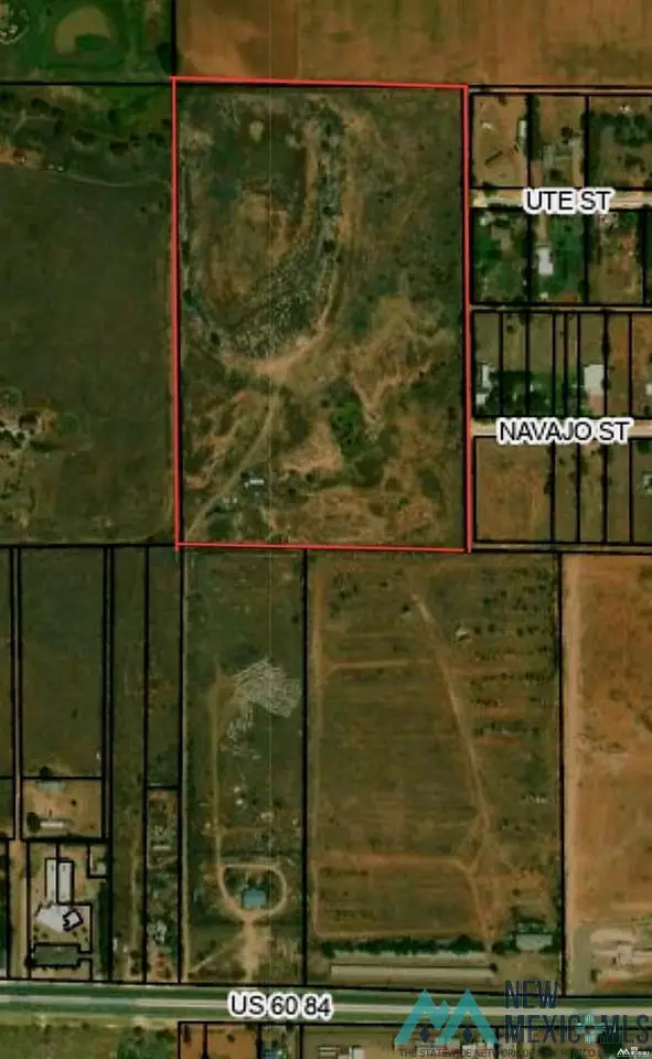 1684 Us Hwy 60/84, Clovis, NM 88101 - #1