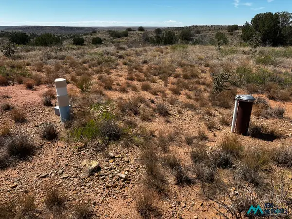 0 Sunset Rd, Lake Sumner, NM 88119