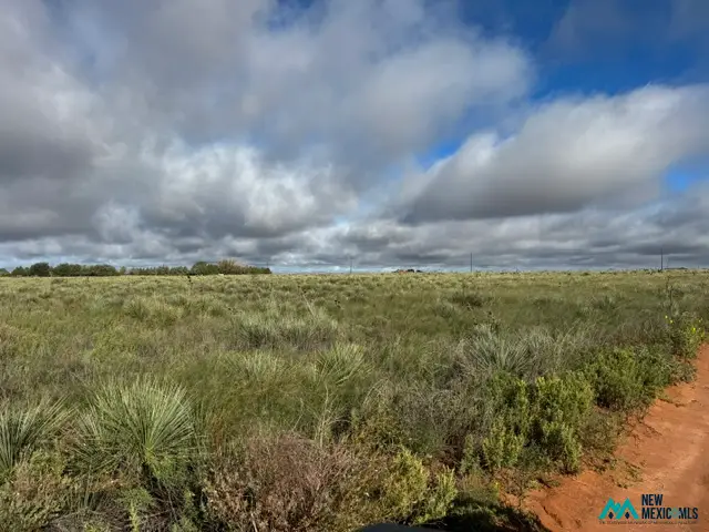 1880 S. Roosevelt Rd 3, Portales, NM 88130 - #1