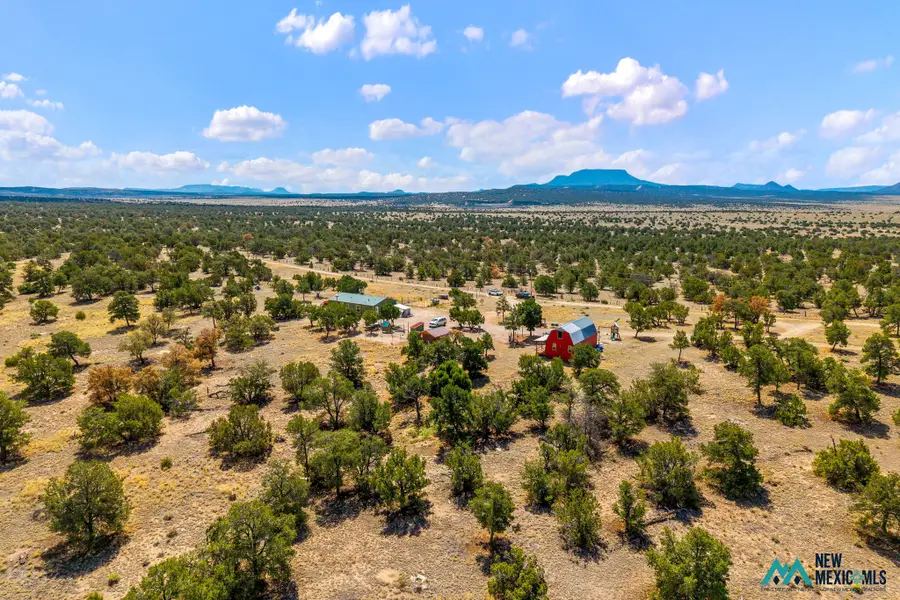 75 Rito Trl, Pie Town, NM 87827 - #2