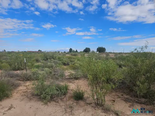 1234 S Luna Rd Se, Deming, NM 88030