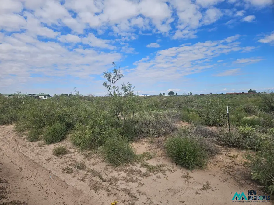 1234 S Luna Rd Se, Deming, NM 88030 - #3