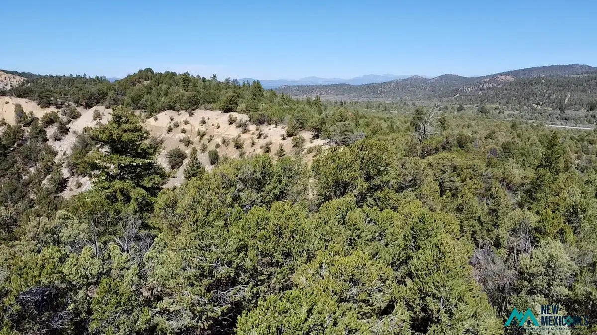 2878 Highway 64, Tierra Amarilla, NM 87575 - #1