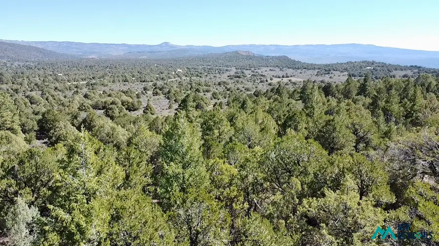 2878 Highway 64, Tierra Amarilla, NM 87575 - #2
