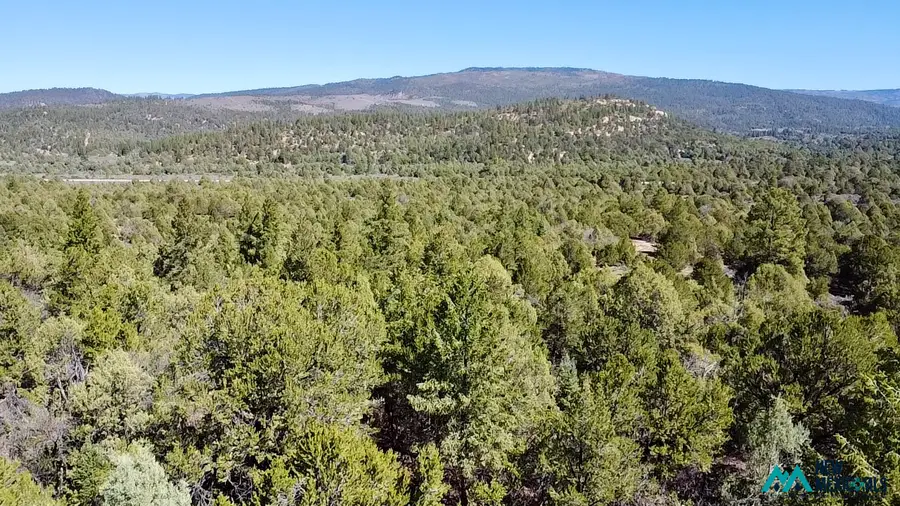 2878 Highway 64, Tierra Amarilla, NM 87575 - #3