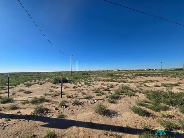 116 Amber Dr, Hagerman, NM 88232