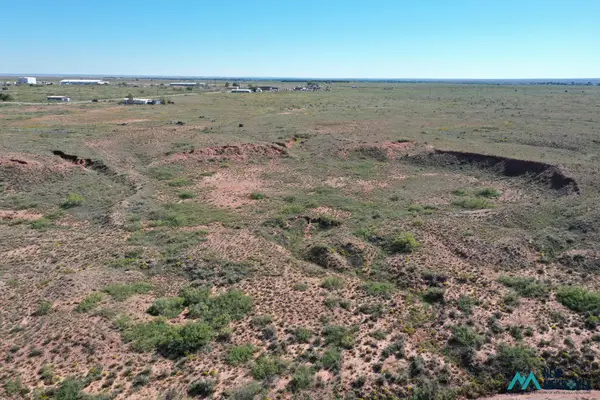 2976 17th St, Fort Sumner, NM 88119