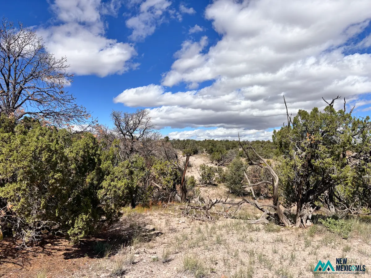 0 Lot 43 Abbe Springs, Magdalena, NM 87825 - #1