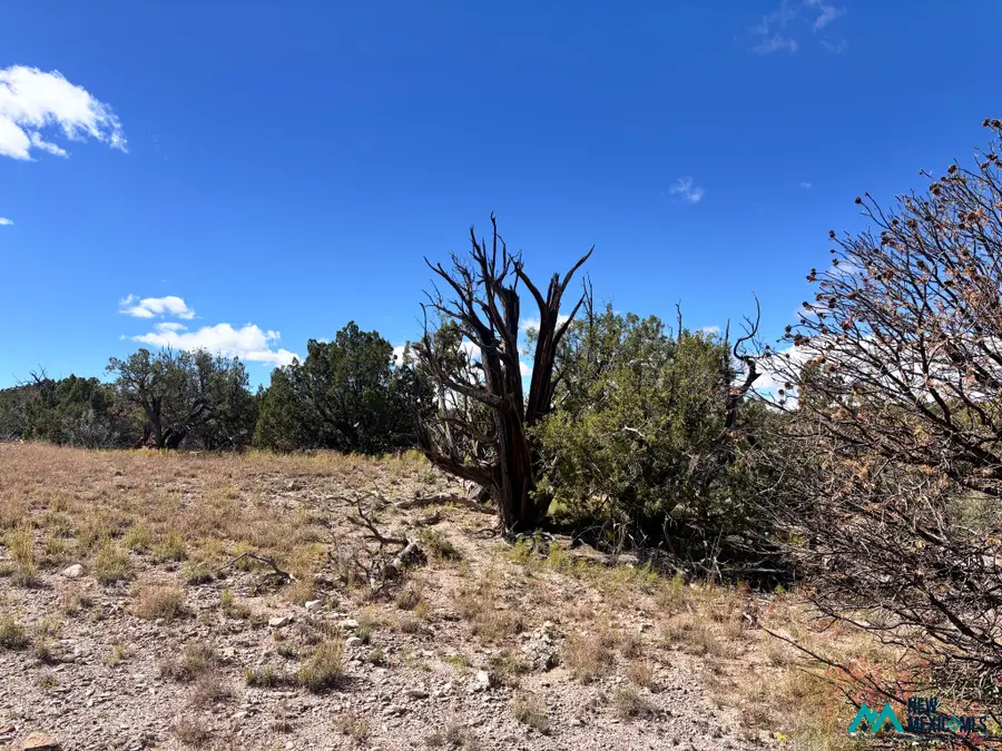 0 Lot 43 Abbe Springs, Magdalena, NM 87825 - #3