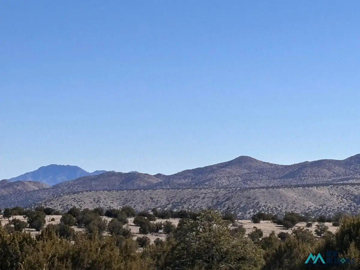 0 Lot 168 Pinon Springs, Magdalena, NM 87825 - #1