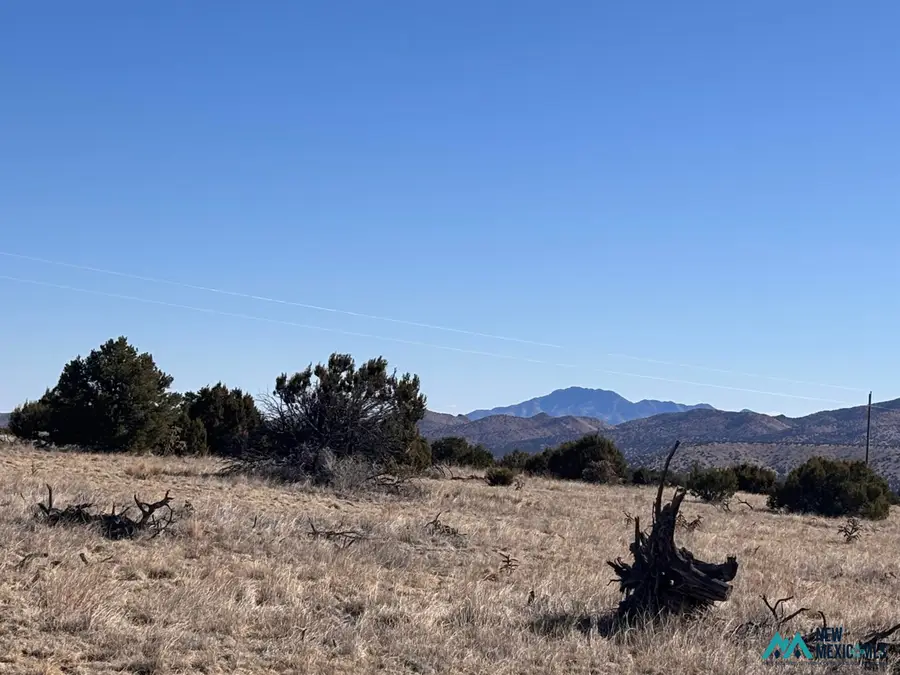 0 Lot 168 Pinon Springs, Magdalena, NM 87825 - #3
