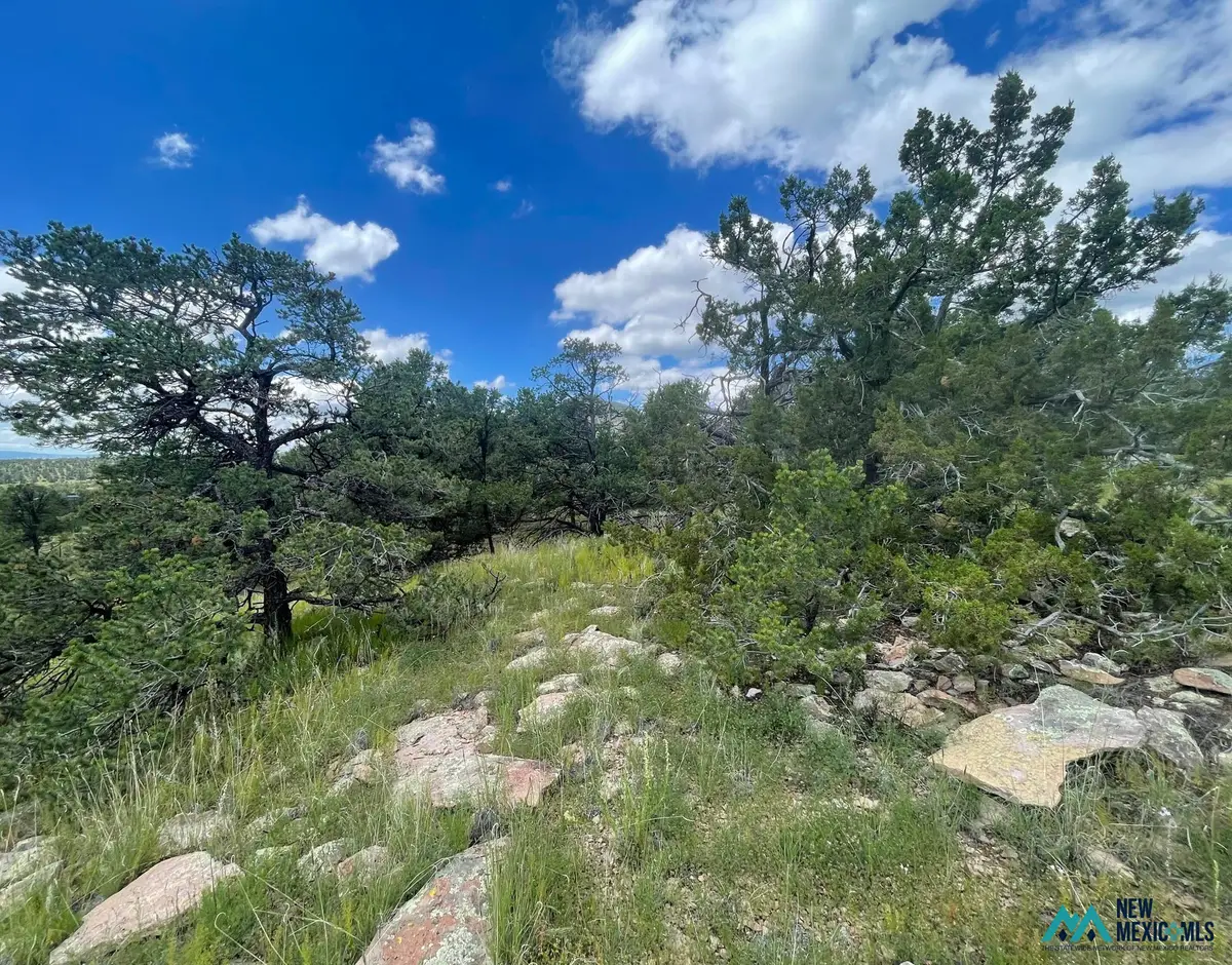 34 Lookout Circle, Datil, NM 87821 - #1