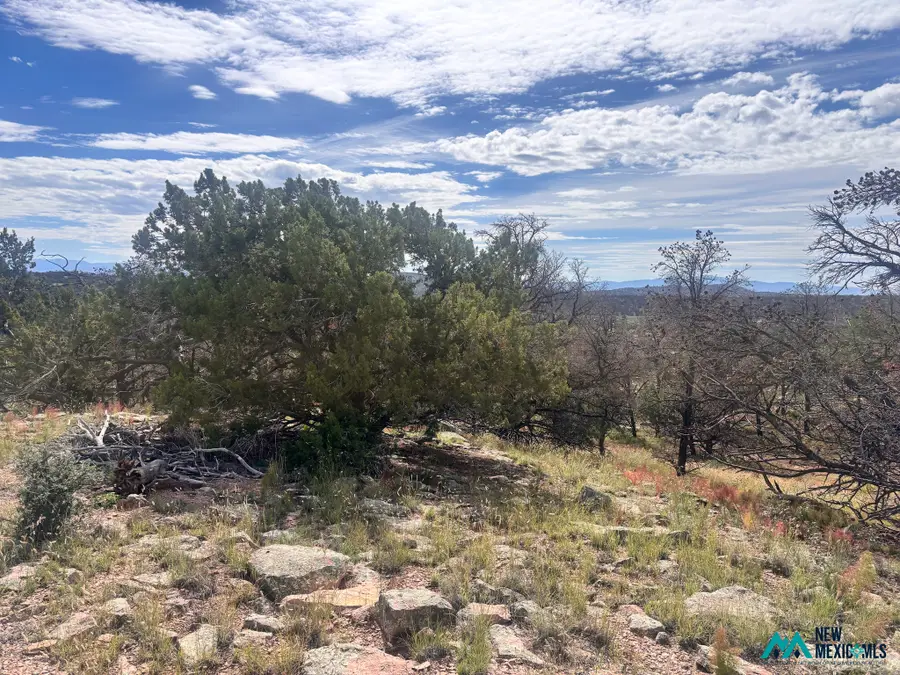 34 Lookout Circle, Datil, NM 87821 - #2