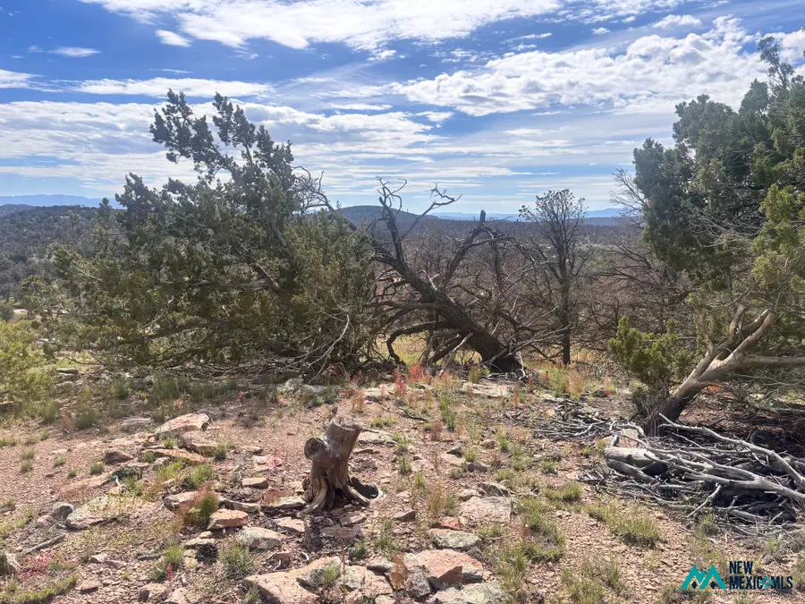 34 Lookout Circle, Datil, NM 87821 - #3