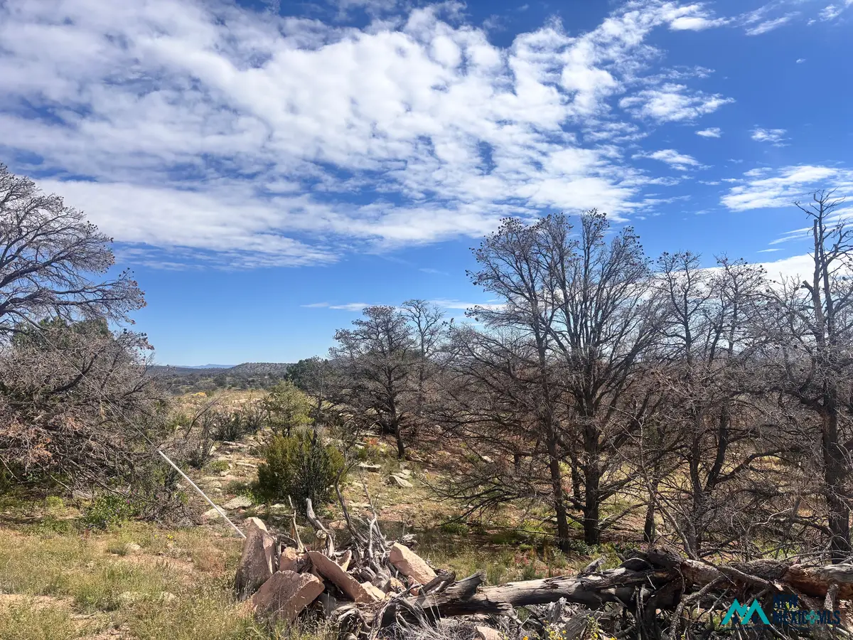 95 Abbe Springs, Magdalena, NM 87825 - #1