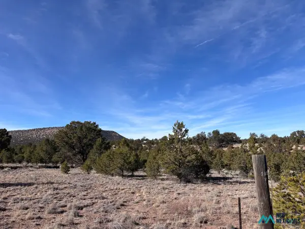 17 Morningstar Cir, Datil, NM 87821