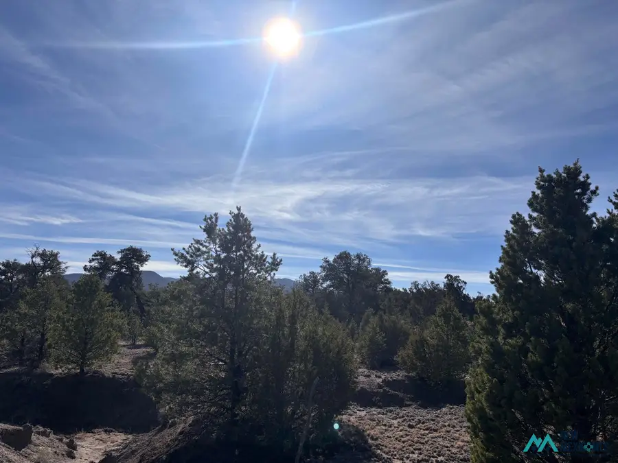 17 Morningstar Cir, Datil, NM 87821 - #3