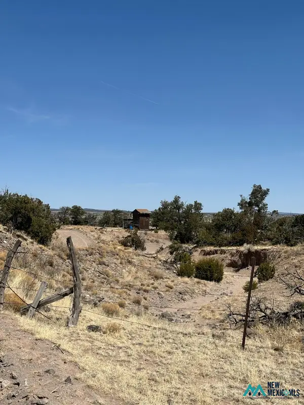 33 Tadlock, Quemado, NM 87829