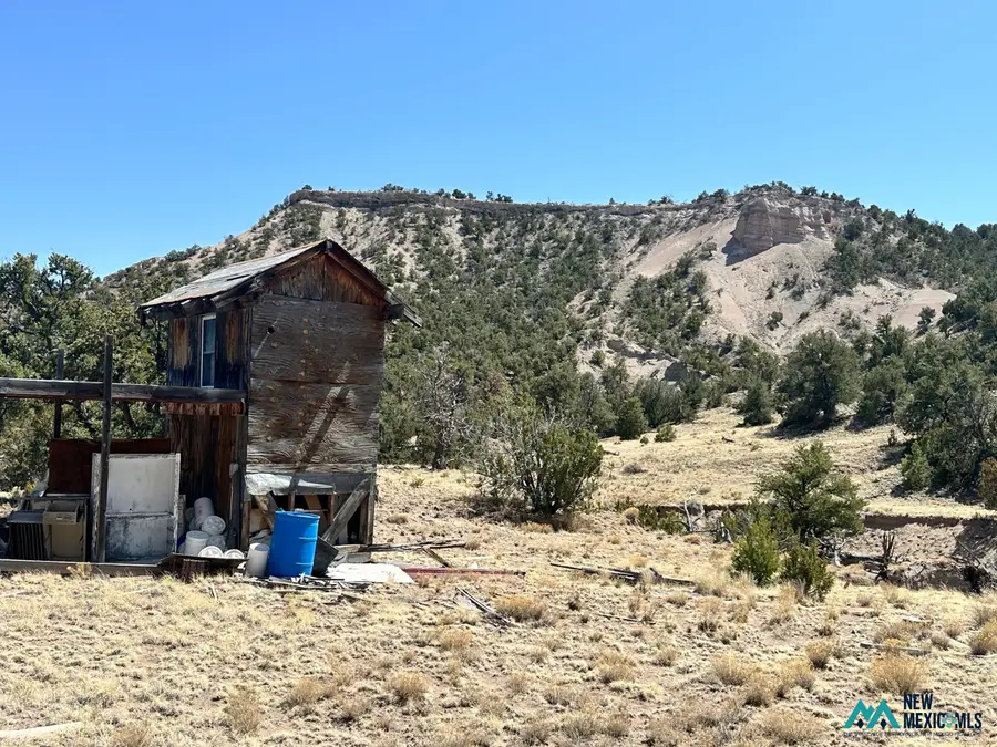 33 Tadlock, Quemado, NM 87829 - #2