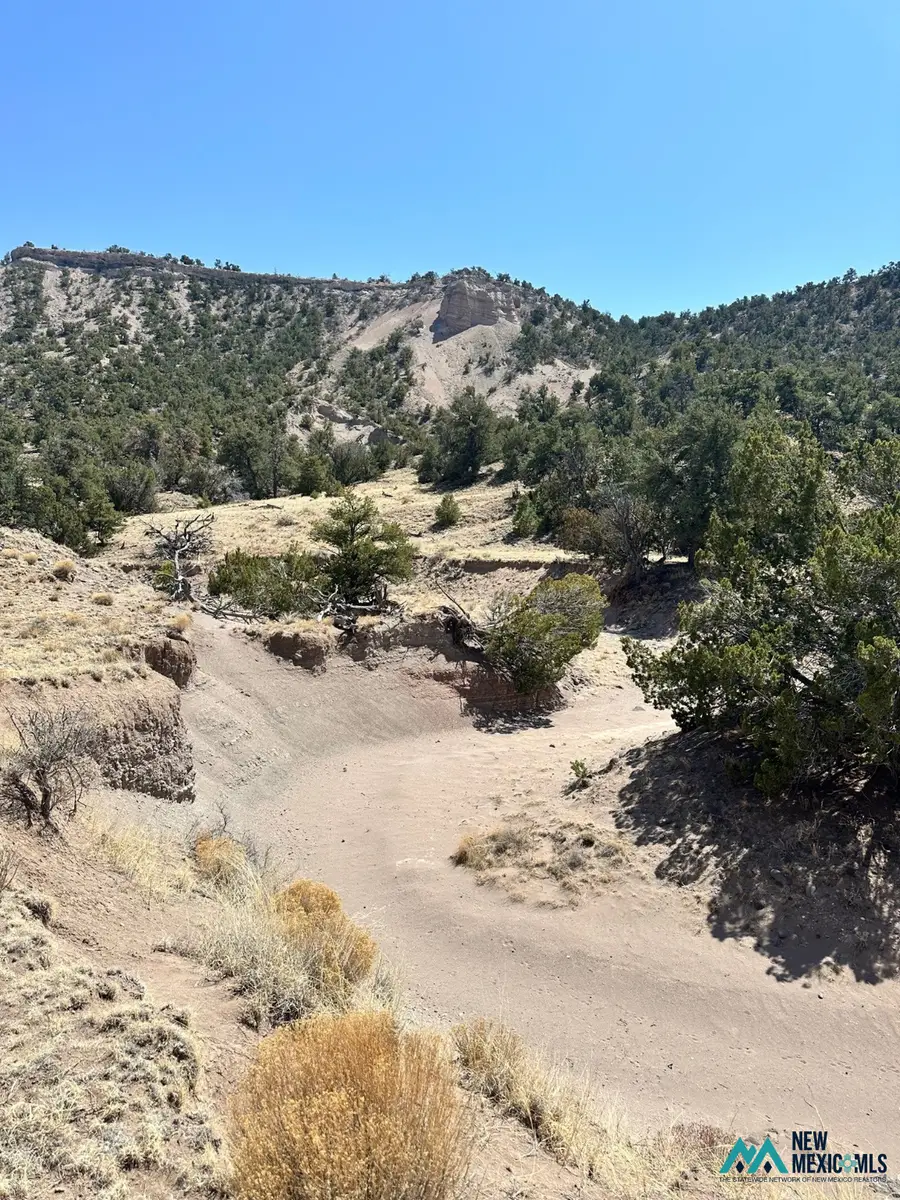 33 Tadlock, Quemado, NM 87829 - #3