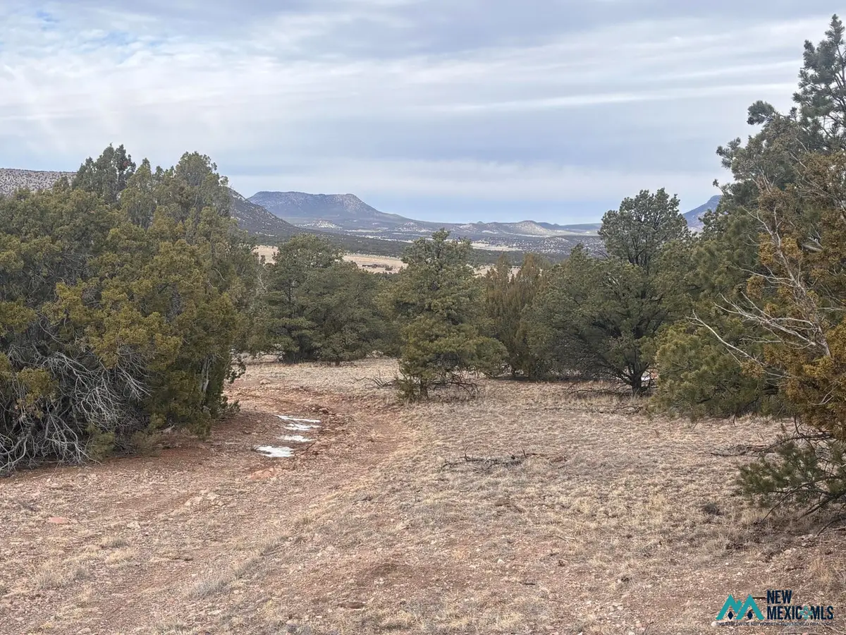227 Tee Pee Trl, Datil, NM 87821 - #1