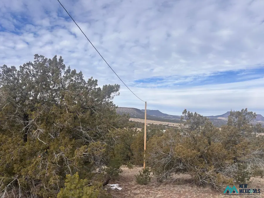227 Tee Pee Trl, Datil, NM 87821 - #2