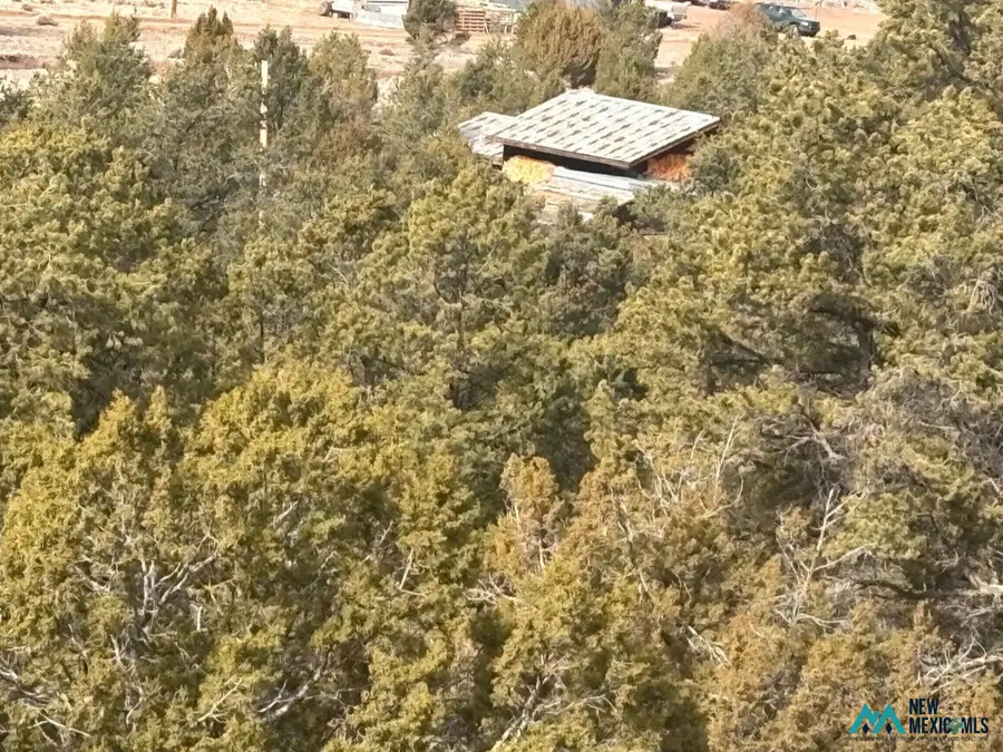227 Tee Pee Trl, Datil, NM 87821 - #3
