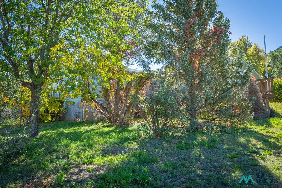 207 La Canada Dr, Ruidoso Downs, NM 88346 - #3