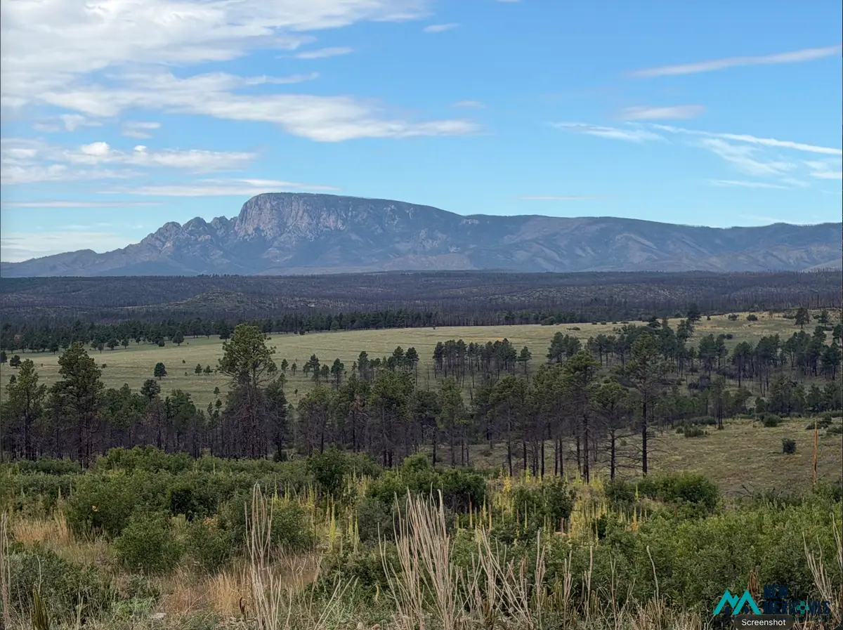 696 Highway 94, Rociada, NM 87742 - #1