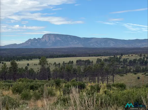 696 Highway 94, Rociada, NM 87742