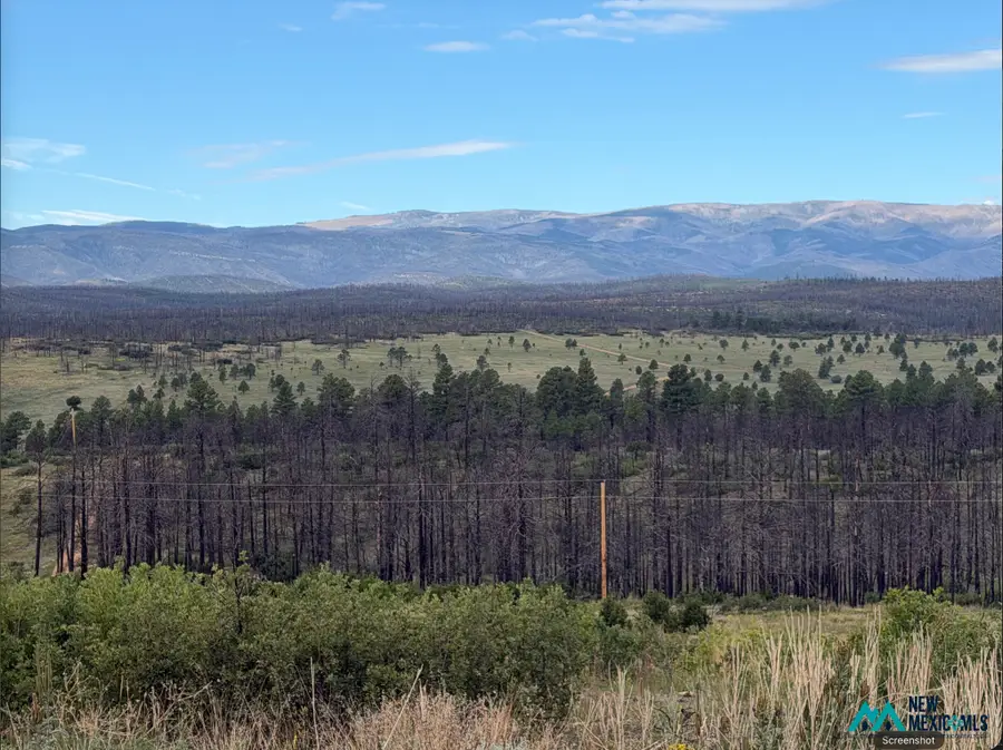 696 Highway 94, Rociada, NM 87742 - #2