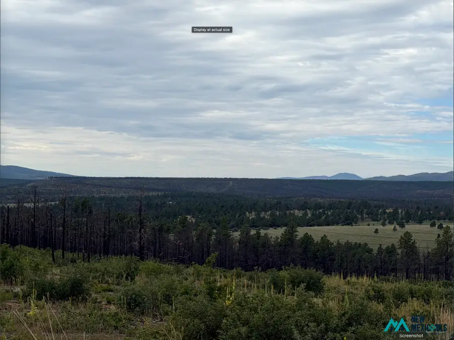 696 Highway 94, Rociada, NM 87742 - #3