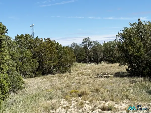 3 N Buckrun Ln, Carlsbad, NM 88220