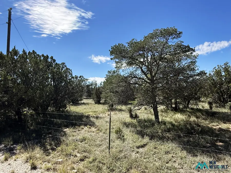 3 N Buckrun Ln, Carlsbad, NM 88220 - #2