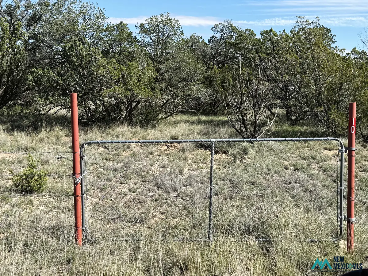 10 Chimney Ln, Carlsbad, NM 88220 - #1
