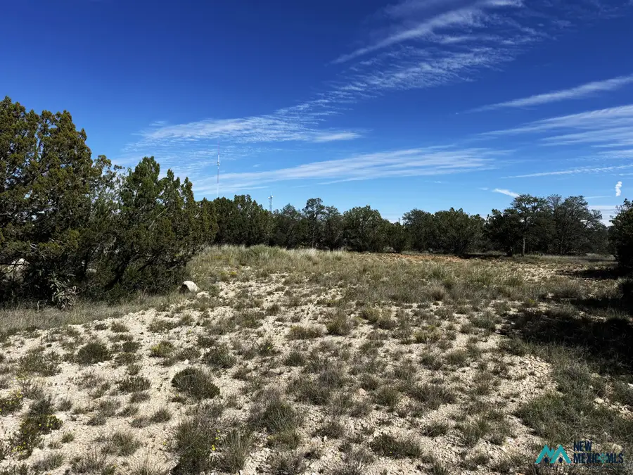 10 Chimney Ln, Carlsbad, NM 88220 - #2