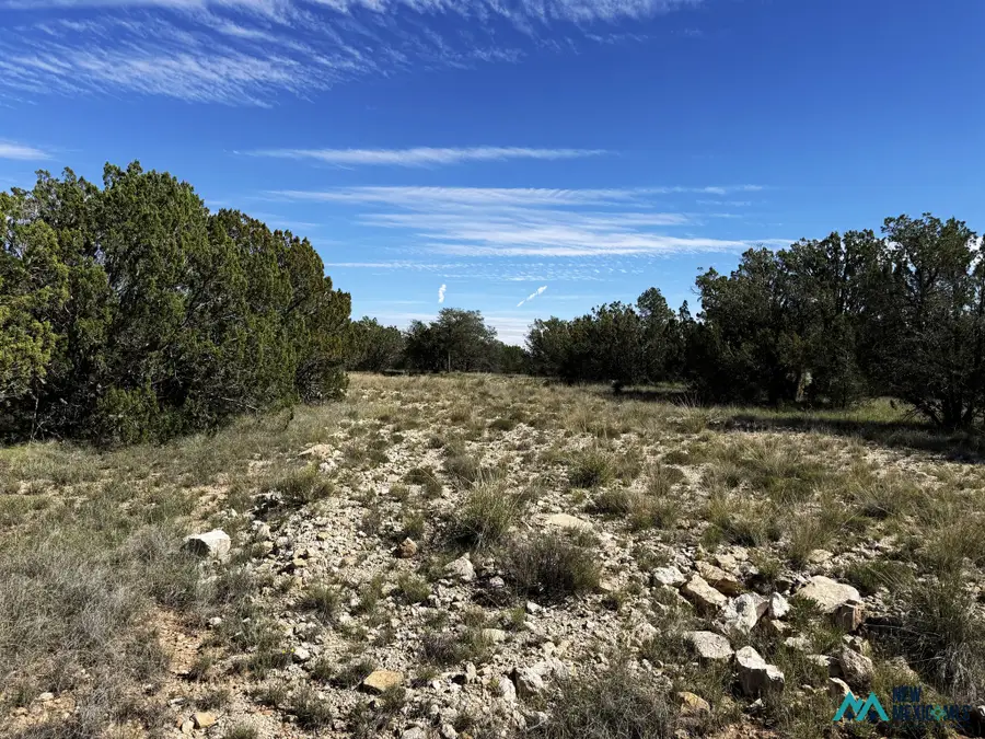 10 Chimney Ln, Carlsbad, NM 88220 - #3