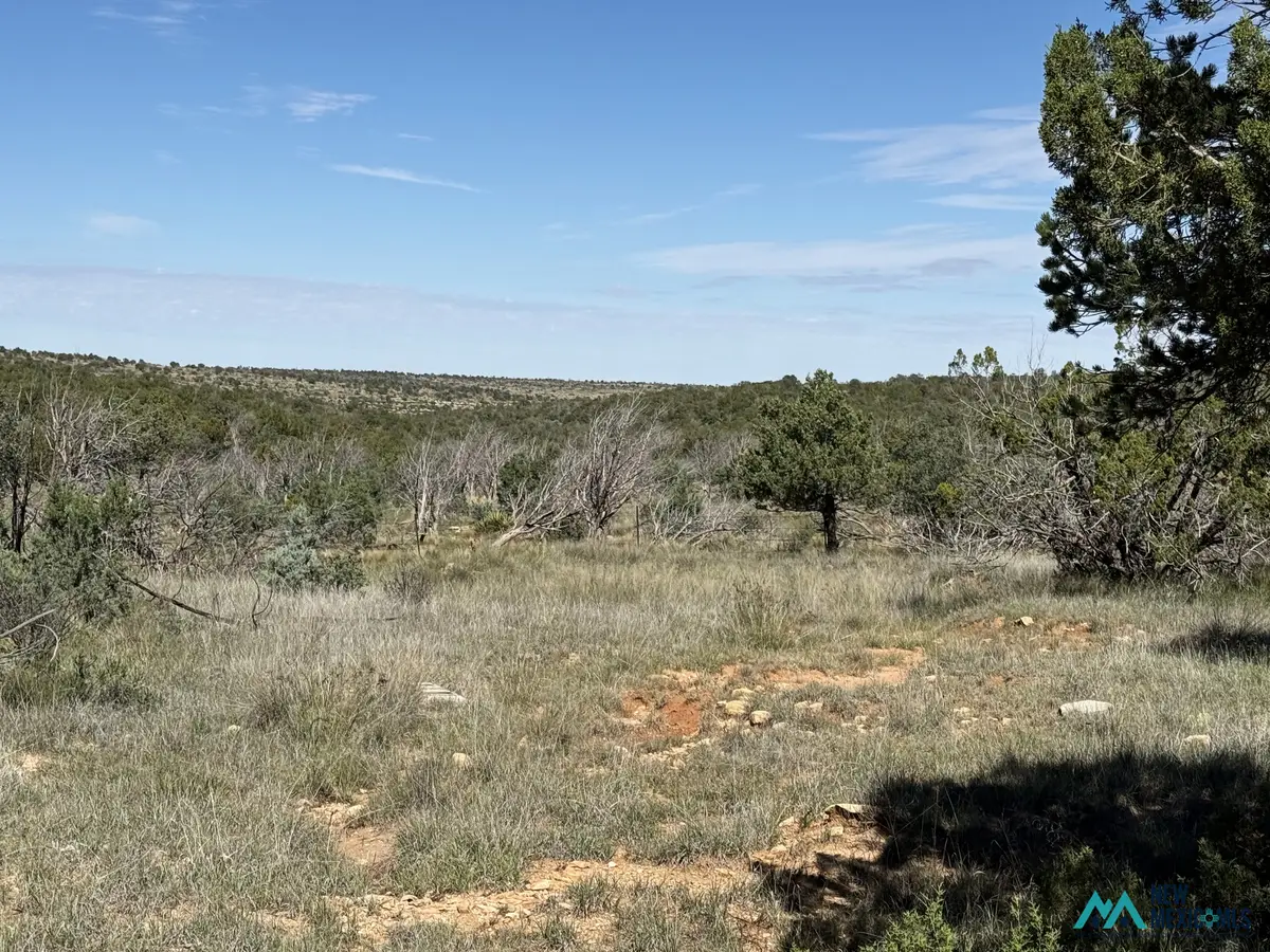 20 Chimney Ln, Carlsbad, NM 88220 - #1