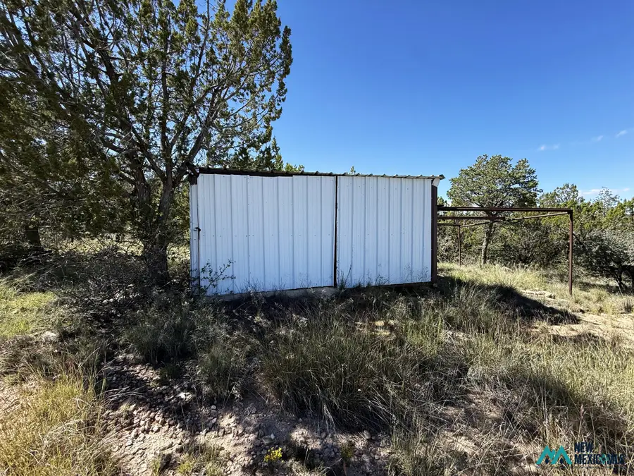 20 Chimney Ln, Carlsbad, NM 88220 - #2