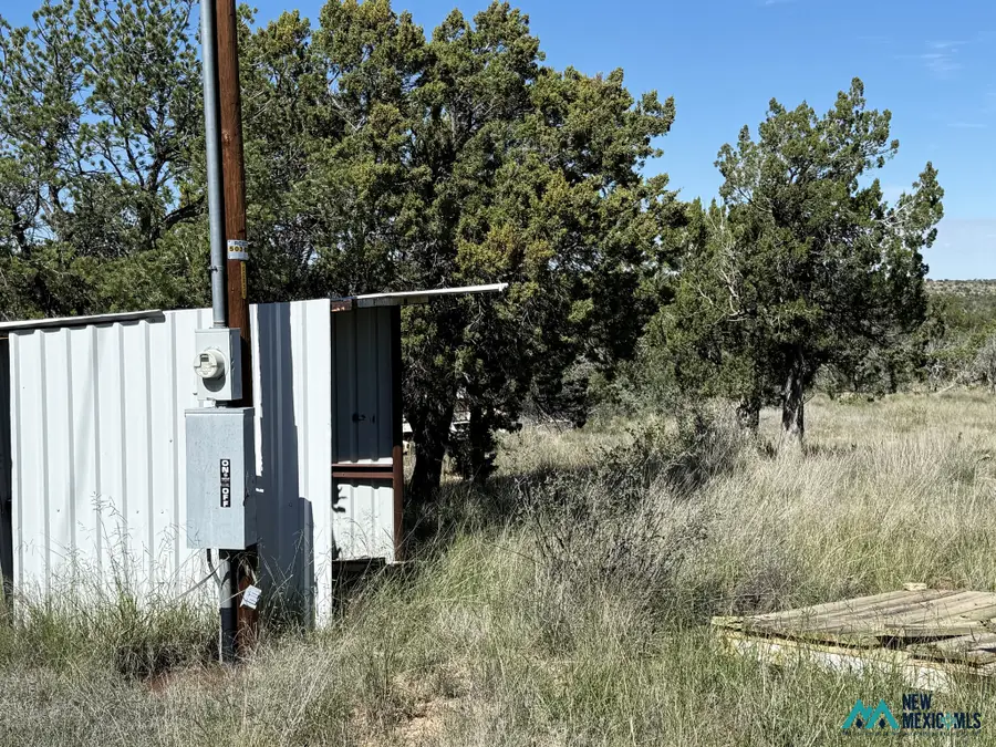 20 Chimney Ln, Carlsbad, NM 88220 - #3