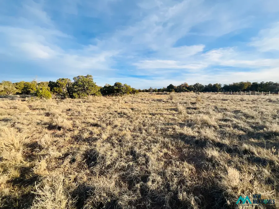 0 Palomino Loop, Jamestown, NM 87347 - #3