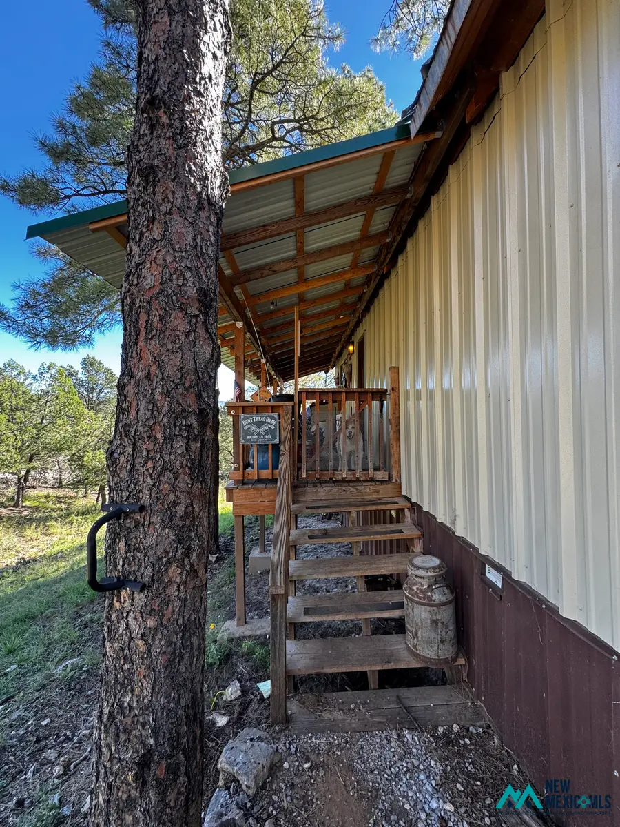 398 Dixwood Dr, Timberon, NM 88350 - #2