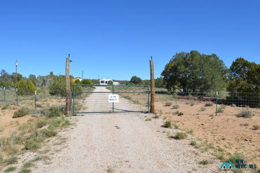 80 Pine Meadows Dr, Pinehill, NM 87357 - #2